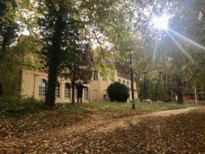 Das Altenburger Naturkundemuseum, ein gelber, zweistöckiger Bau, im Herbstlicht