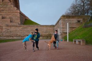 Das Foto zeigt die Hundetrainerin Monique und eine Kursteilnehmerin. Die machen auf einem Weg Lunges. Bei jedem Schritt müssen sich die Hunde auf ihren Oberschenkeln abstützen und werden mit Leckerlis dazu ermutigt. Im linken Hintergrund ist das Völkerschlachtdenkmal zu sehen. 