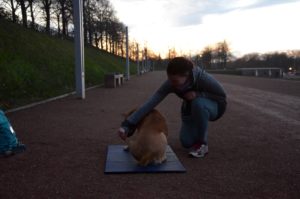 Das Foto zeigt die Teilnehmerin von Moniques Kurs. Sie hockt neben ihrem Hund, der auf einer Matte liegt. Sie führt ein Leckerli erst zu seiner einen, dann zur anderen Seite, sodass seine Muskeln trainiert werden sollen. Im Hintergrund geht die Sonne unter, das Licht ist schwach. 