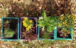 4 Körbe mit verschiedenen Blumen in bunten Blumenkästen stehen auf einem blätterbedeckten Boden.
