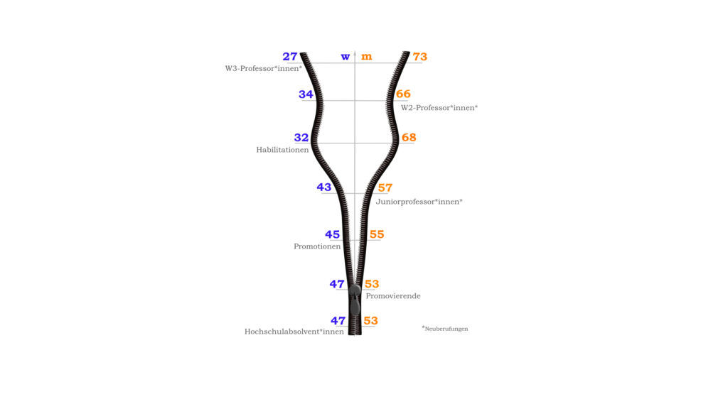 Gender Gap Grafik Frauen und Männeranteil in der akademischen Laufbahn